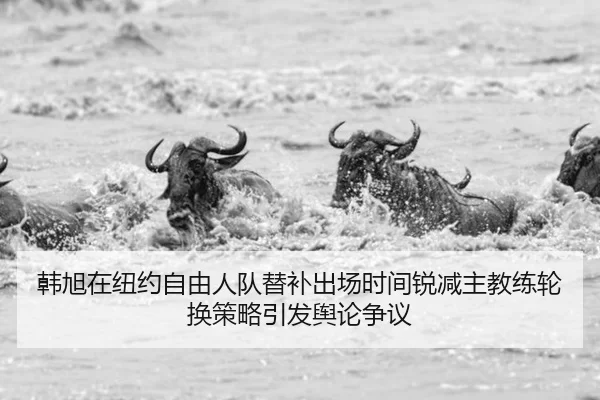 韩旭在纽约自由人队替补出场时间锐减主教练轮换策略引发舆论争议
